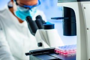 research cells