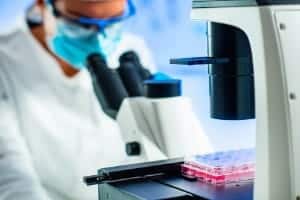 cells researching